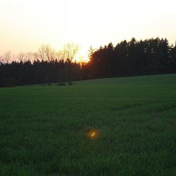 2012 Svojek mirek patek